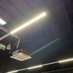IMG_1248